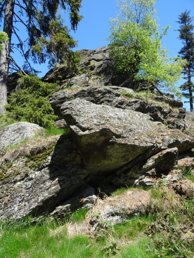 Ferienappartement Gutshof Hohenwarth Zewnętrze zdjęcie